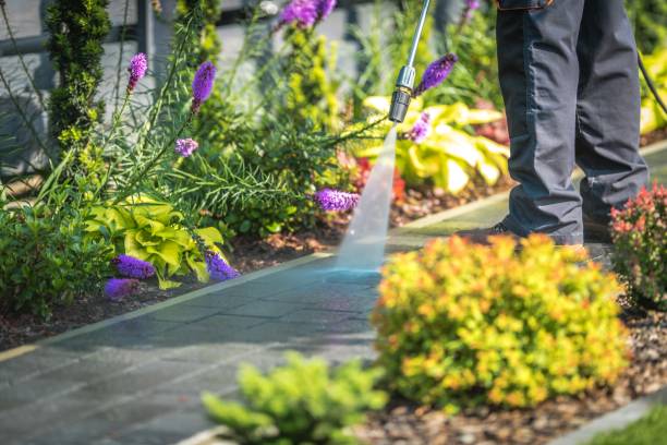Best Restaurant Pressure Washing  in Onarga, IL