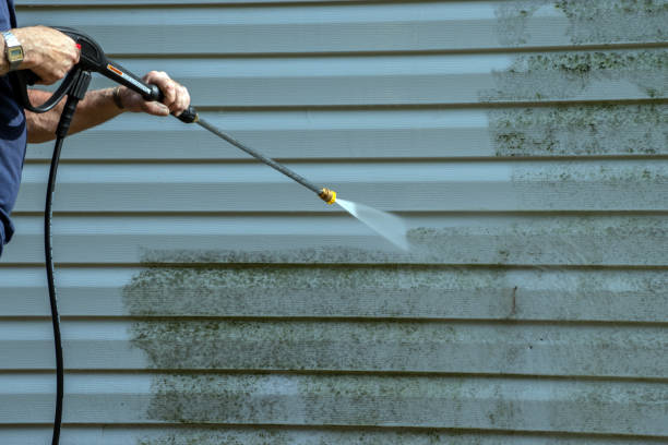 Best Building Exterior Washing  in Onarga, IL