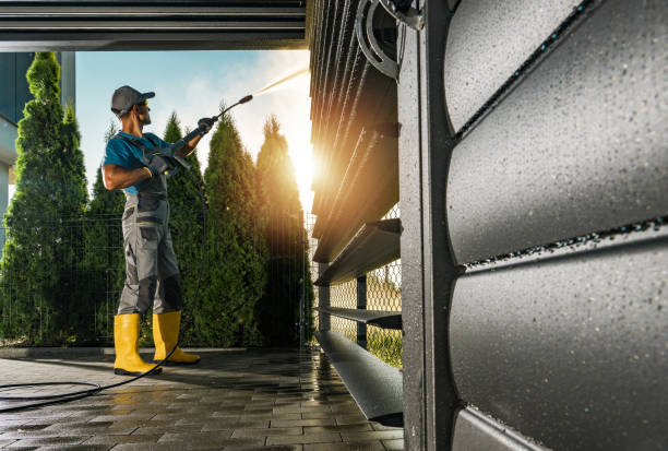 Best House Exterior Washing  in Onarga, IL
