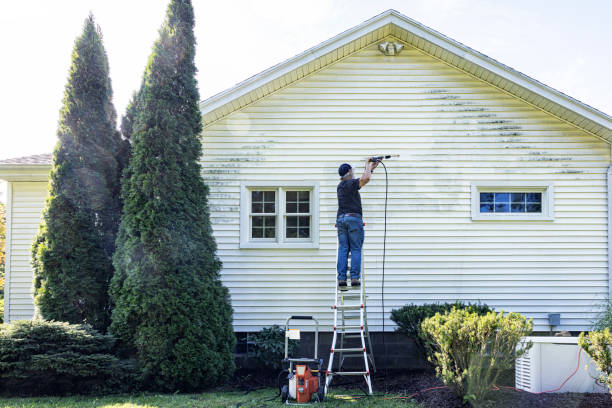 Best Dumpster Area Cleaning  in Onarga, IL
